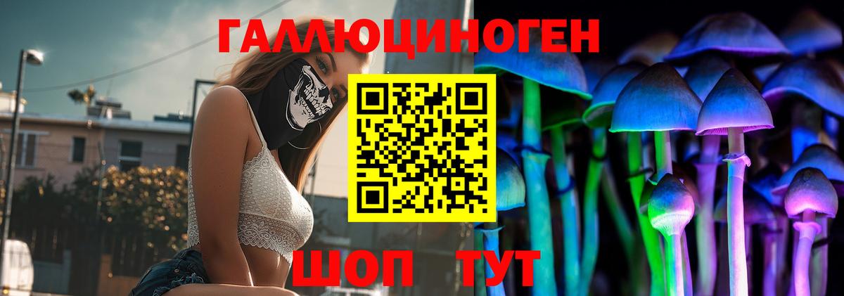 Галлюциногенные грибы MAGIC MUSHROOMS  Псилоцибиновые грибы Magic Shrooms  Туапсе  Вход с VPN 